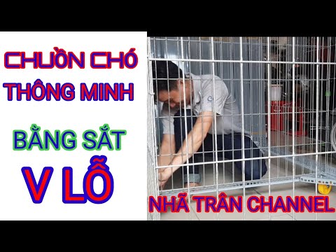 Chuồn Chó Thông Minh tuyệt Đẹp Làm Bằng Thép V lỗ / Nhã Trân Channel
