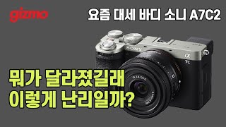 뭐가 달라졌길래 난리일까? 요즘 대세 바디 소니 A7C2