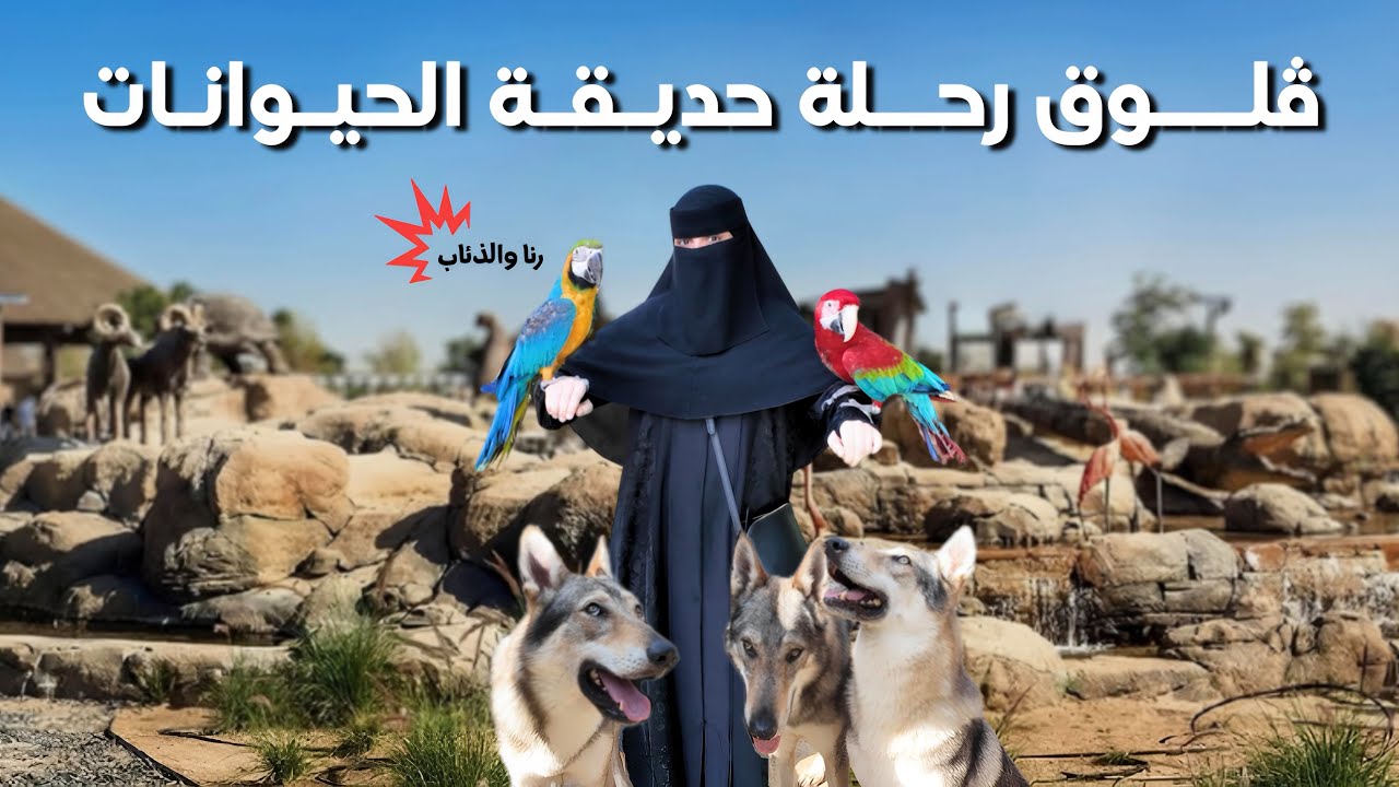 تجربة خطيرة: وقفت جنب الذئاب🐺 | يومنا في حديقة الحيوانات🌿🐾