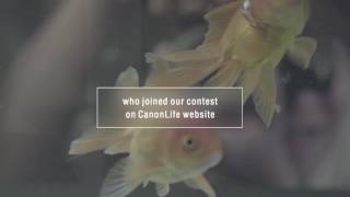CanonLife Redefine: Thai Alphabet / English version screenshot 3