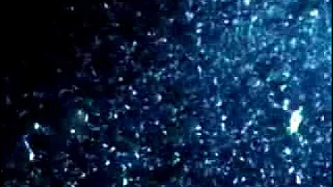 Au4 - Live Visuals: Ocean's