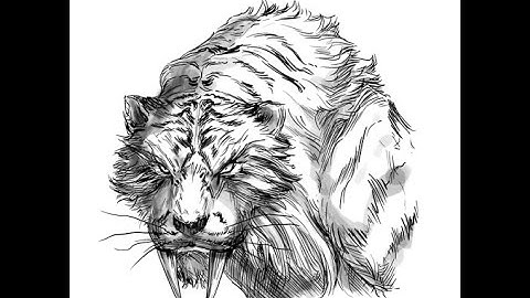 ||Dark Souls 2: SOTFS|| Aava the King