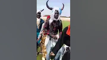 تراث قبيلة النوبة مدينة النهود 