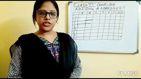 Class VI, Computer, Editing a worksheet