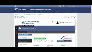 How to Download Field Placement Roll-Up in CW for Internship or Practicum