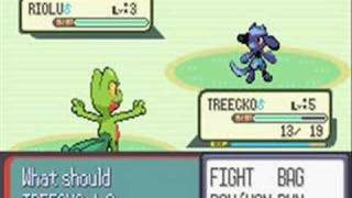 Pokemon Ruby Destiny - Blitz Battle 1
