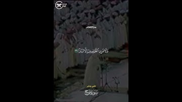 #سورة_نوح #علي_جابر #راحة_نفسية #نامه_ك_ژ_قورئانئ