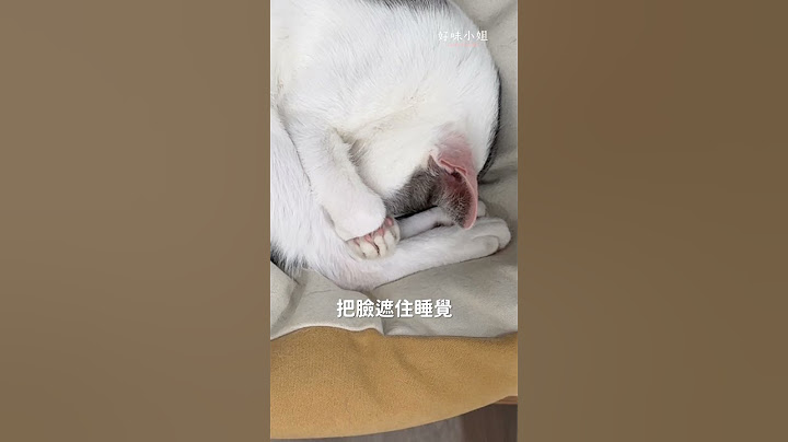 我的貓怎麼一整天都在睡？ #cat #貓咪