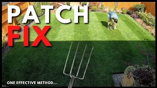 New Grass Seed Growing PATCHY?? - Let's Repair It by Garden Lawncare Guy 32,860 views 2 years ago 6 minutes, 25 seconds