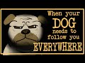 When Your Dog Always Needs to Follow You