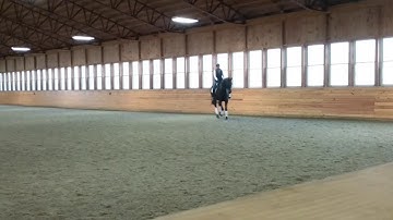 Thierry Durand Silverstein CR canter haunches in shoulder fore half pass schooling 2-2018