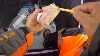 Indian lake ice fishing. 4 days in a row 2nd video.