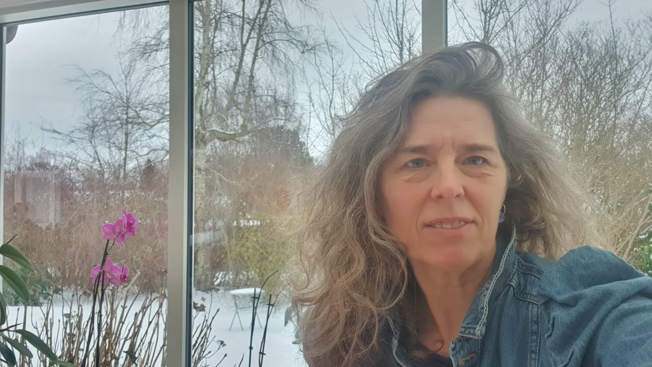 Spirituel vejledning for hvert stjernetegn i februar 2026