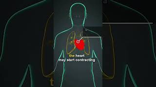 Deadly Punch Is It Possible To Stop A Heart