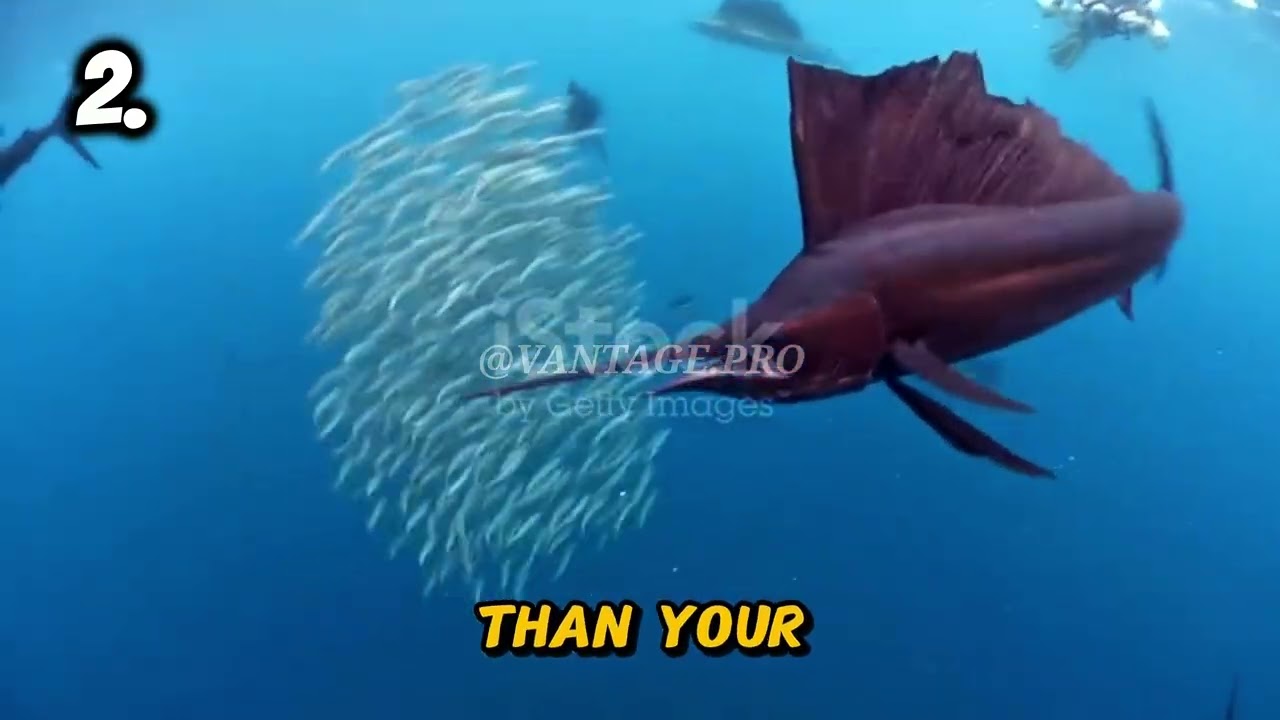 Speed Kings: Nature’s Fastest Creatures Revealed