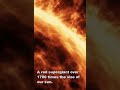 Do you know the largest star discovered? || Biggest star facts #scipeak || #sabasohail || #shorts