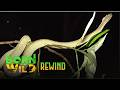 Rare White Viper of Batanes | Born To Be Wild - Rewind