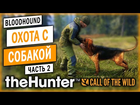 Видео: theHunter Call of the Wild #2 🐶 - Охота с Ружьем Без Оптики - Охота с Собакой (2021)