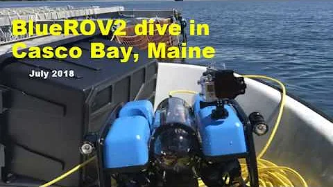 First BlueROV2 dive