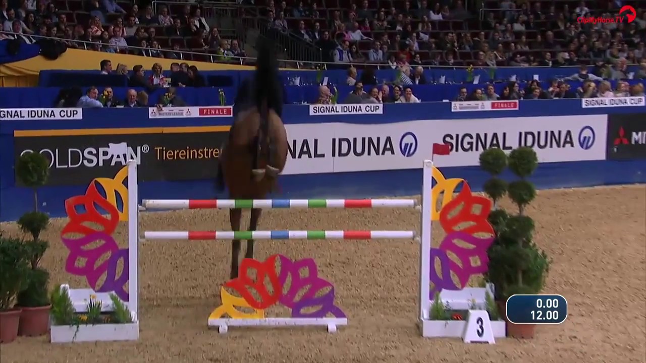 ****DORTMUND - Pikeur Callas (v. Cardenio-Chicago Z) mit Markus Brinkmann - Finale Youngster Tour