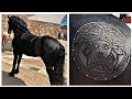 Horse Haircut Designs 😱 | Amazing Barber Skills By Rob The Original