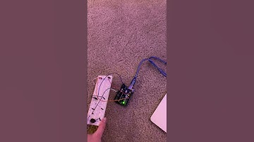 Fall Detection