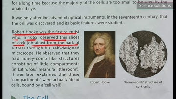 DAV class 8 science chapter 1 - The cell it