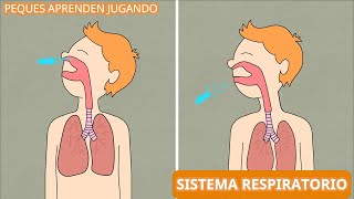 El sistema respiratorio para niños  Video del aparato respiratorio de Peques Aprenden Jugando