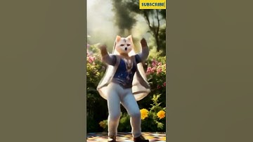 Apate apate APT Cat Dance😅😅 #apt #shorts #funnycat #cat #apt  #catvideos #ytshorts #cute #dancecat