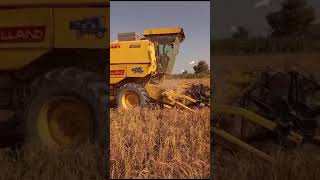 Yellow New Holland 8070 Cutting harvester farmequipment pakistan agriculture automobile punjab