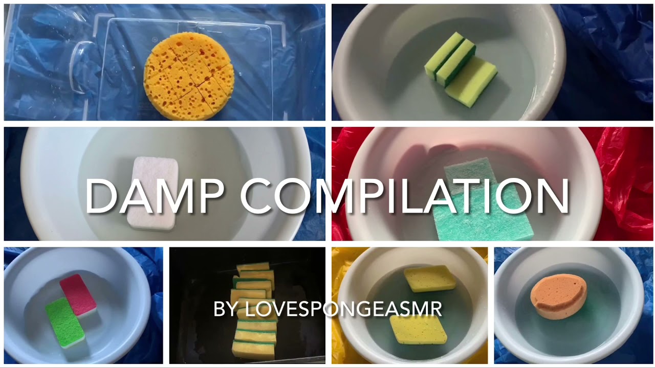 Sponge ASMR Damp Sponge Ripping Compilation