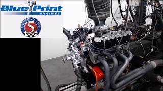 427ci Crate Engine for Factory Five Cobra - dyno test