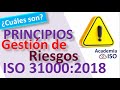 🚫 ISO 31000:2018 Principios de la Gestión del Riesgo