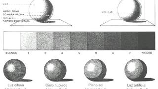 ELEMENTOS Y ZONAS DEL CLAROSCURO