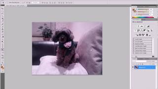 Screencast Cropping Techniques