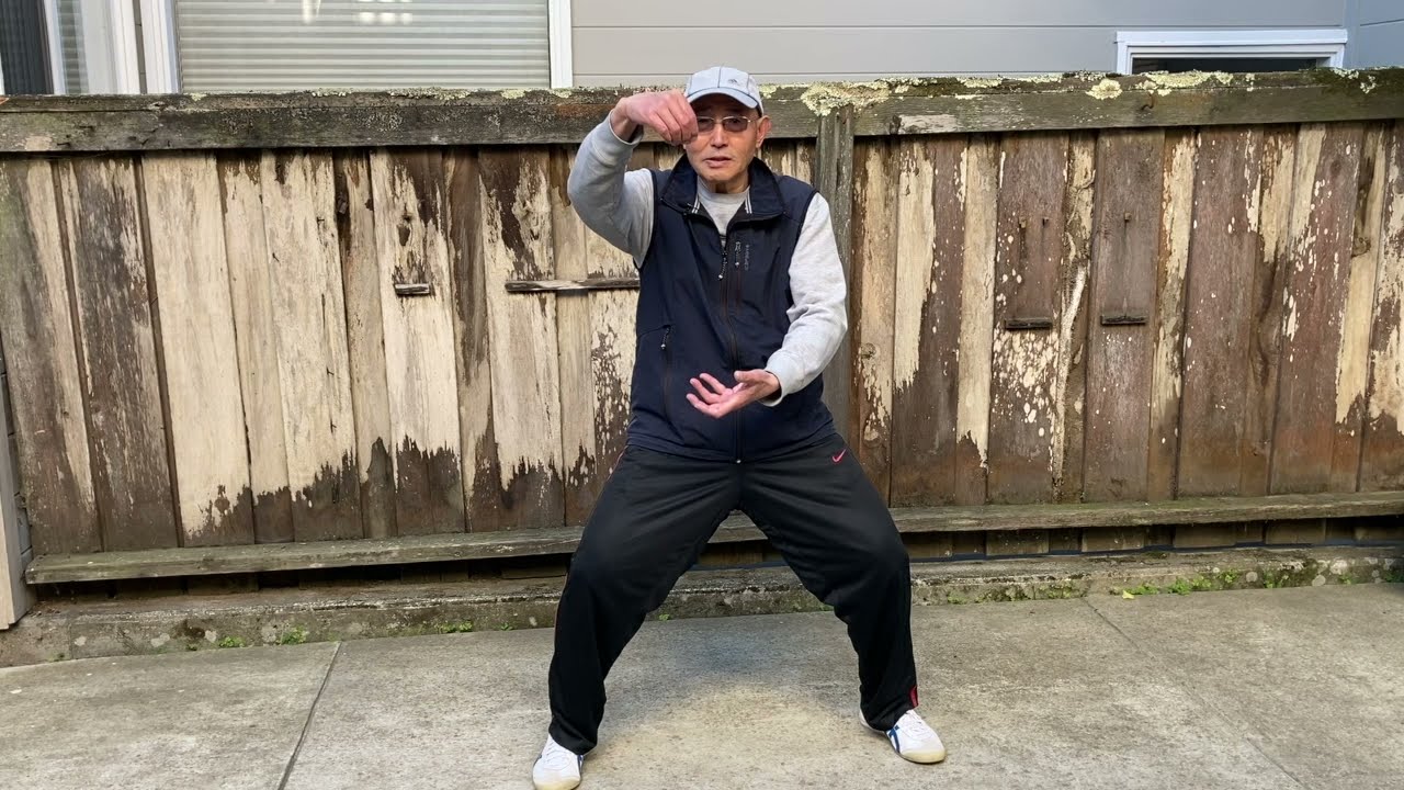 Tai Ji Classics + Dragon Pearl (Master George Xu)