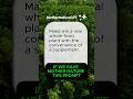 If Mother Nature Got an AI Prompt? She'd Return This Plant