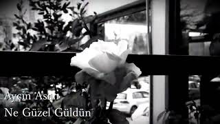 Ayçin Asan ~ Ne güzel güldün 🎶 Resimi