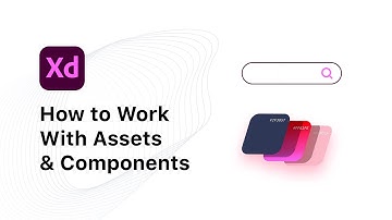 How to Work With Assets & Components in Adobe XD