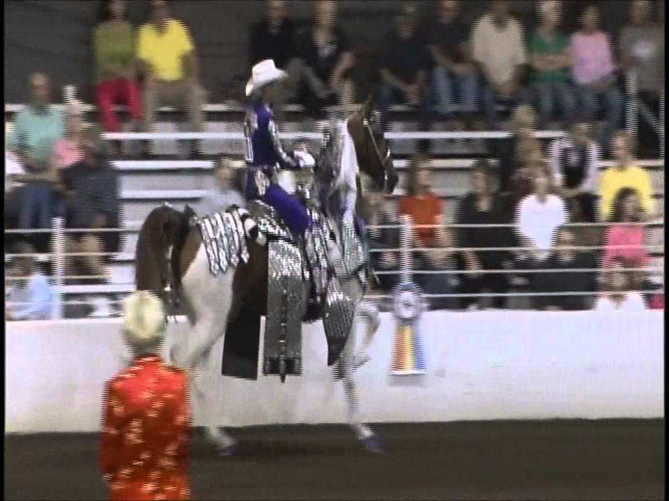 Paddyngton's Mark of Distinction and Holly Armstrong