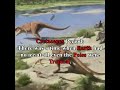 Horror movies are not terrifying.. 😱 #shorts #prehistoric #dinosaur