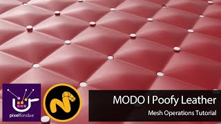 Celebrity MODO | Poofy Fabric MOP Net Worth