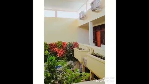 Thumbnail of SOLAMENTE UNA VEZ - Natalie Cole - MAPLE TREE HOME STAY JOGJA
