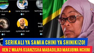 GEN Z WA TANZANIA WAMWAGIA SERIKALI YA SAMIA MANENO MAZITO – WAAPA MABADILIKO MAKUBWA!