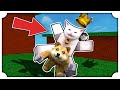 COSTRINGO POGGODOGGO A FARE COSE ASSURDE PER VINCERE SU ROBLOX!