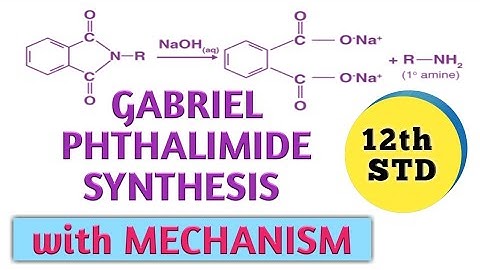 GABRIEL PHTHALIMIDE SYNTHESIS