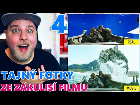 Video: Člek chocholatý: fotografie, zajímavá fakta