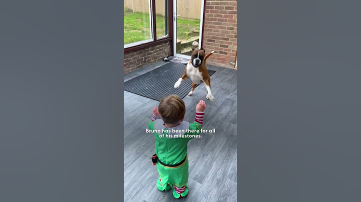 Dog Visits His Human Baby Brother Crib Every Morning | The Dodo