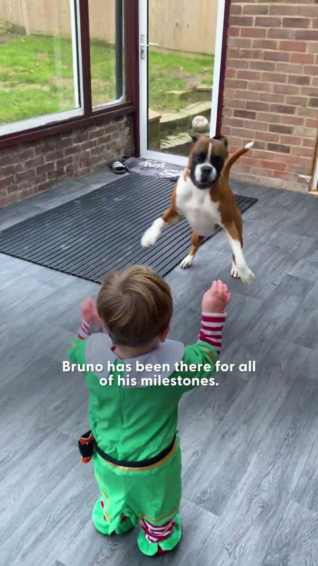 Dog Visits His Human Baby Brother Crib Every Morning | The Dodo