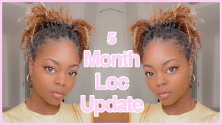 5 Month Loc Update | Two Strand Twist Starter Locs | Loc Journey